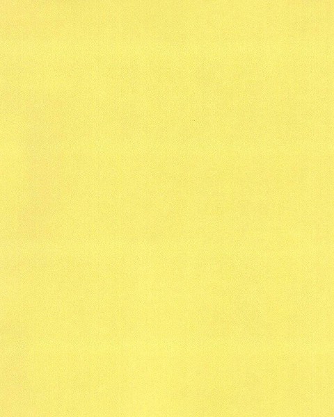 Hattan Palette | 66 Yellow